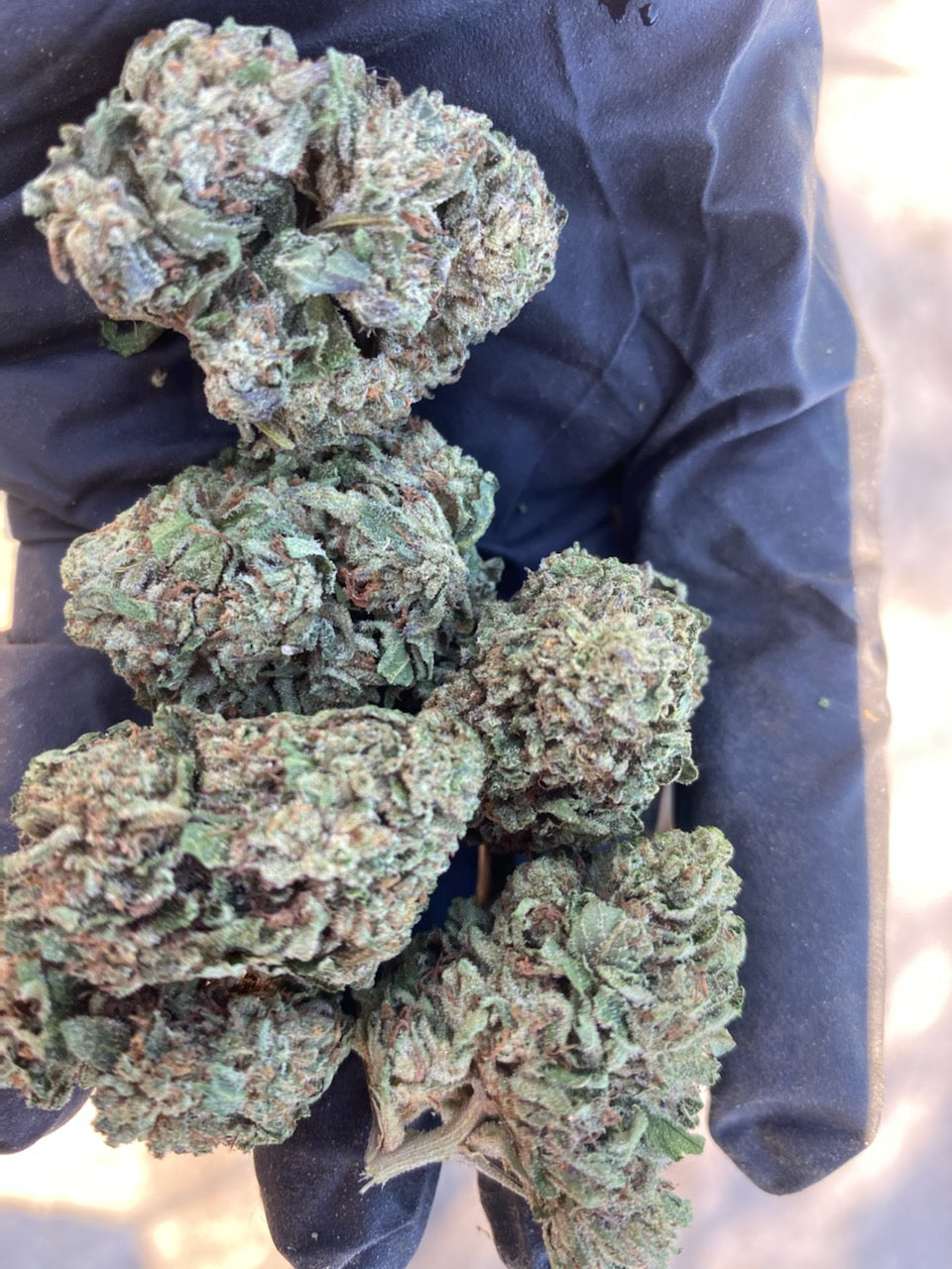 Bubba Kush Hemp Flower