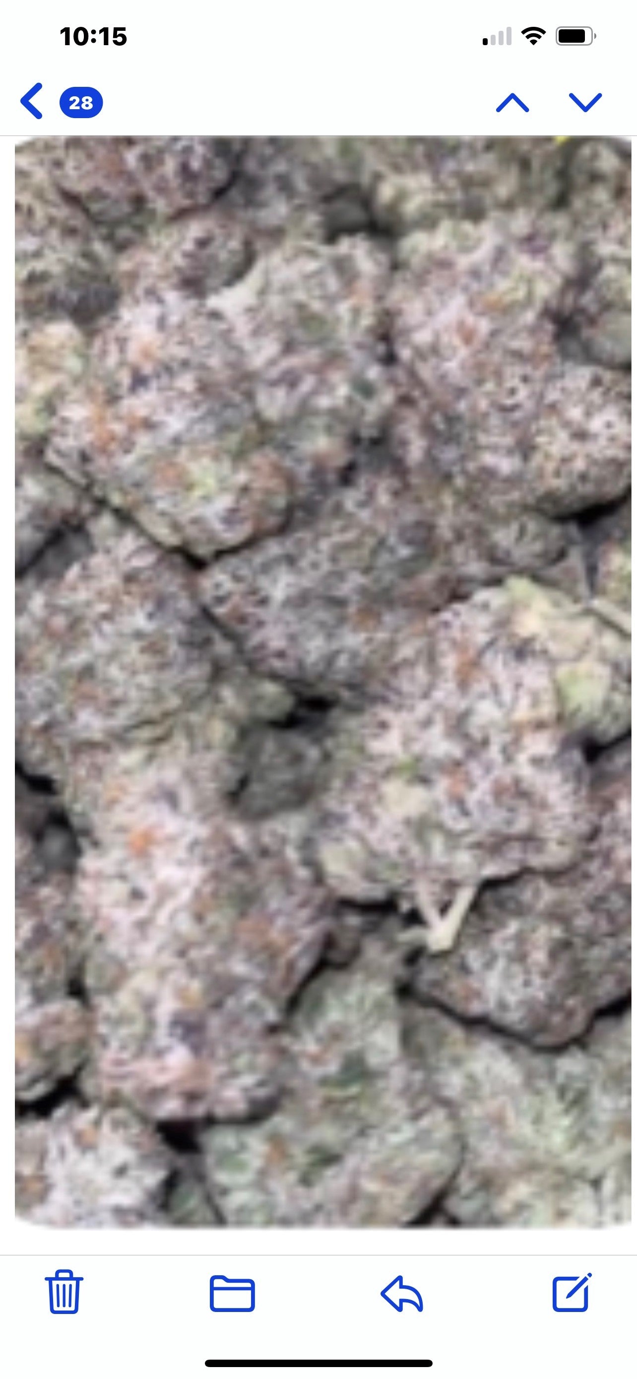 THCA Indoor Rainbow Cadillac