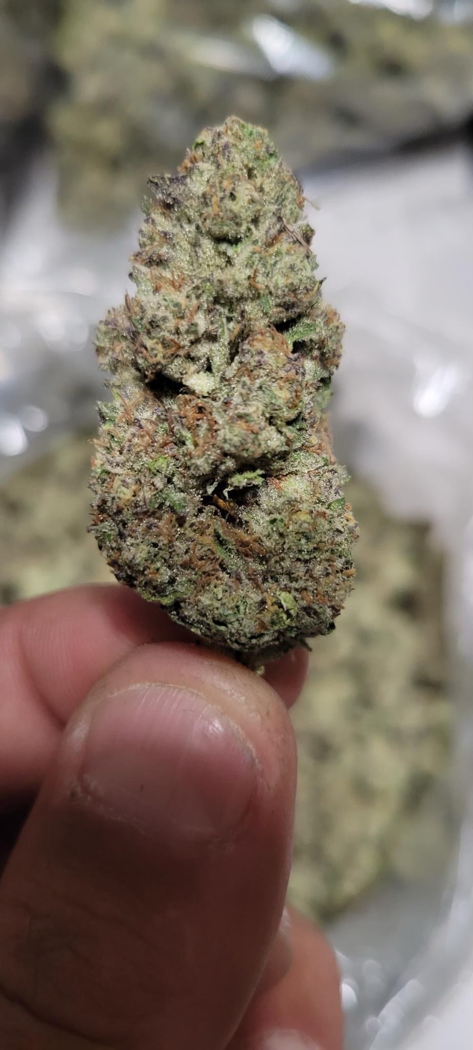 Indica Flower