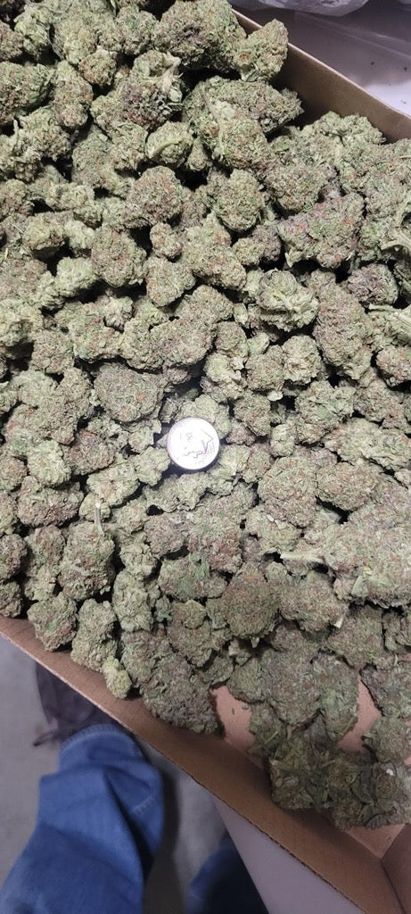 THCA Indoor Plasma Gas Indica Flower 34%