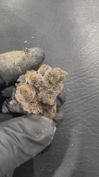 THCA Exotic Alien Runtz  Flower 35%