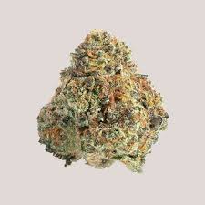 THCa Perla Cigar