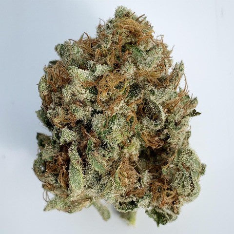 THCA Head Dog