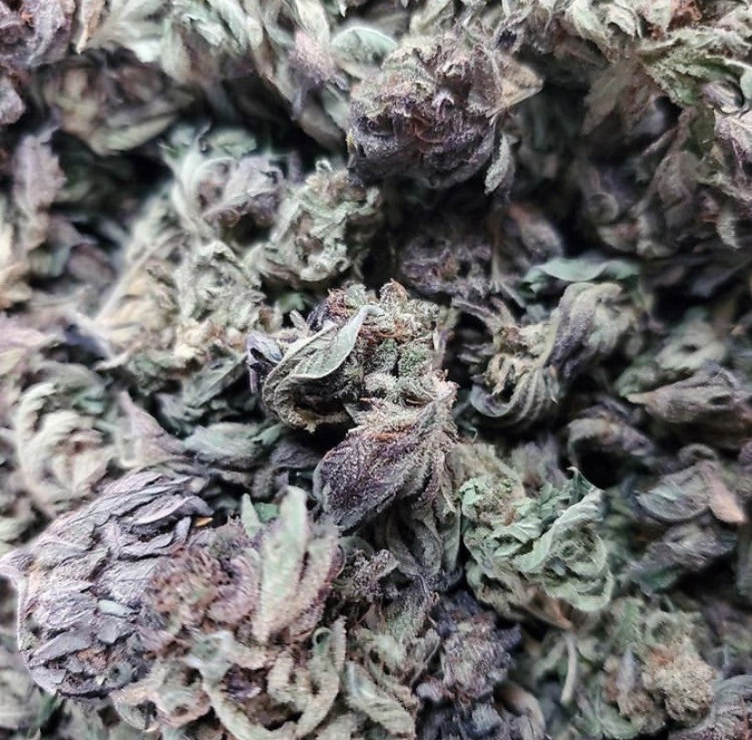 With green and purple buds this Sativa is one of the best buds we have ever produced.   No additives, Non-GMO, and no pesticides  Federal Farm Bill Compliant, Delta-9 THC less than 0.3%  Hand trimmed and slow cured for 60 days Straight from the nutrient-rich soil of North Carolina, then carefully cured and hand trimmed, this strain’s buds consist of high concentrations of trichomes.   14.9% Total Cannabinoids + under 0.30% THC - this strain is Sativa